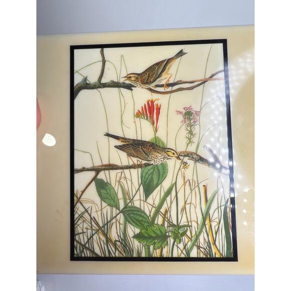 Vintage John James Audubon Savannah Sparrow Birds Wall Hanging Tile - Picture 5 of 10
